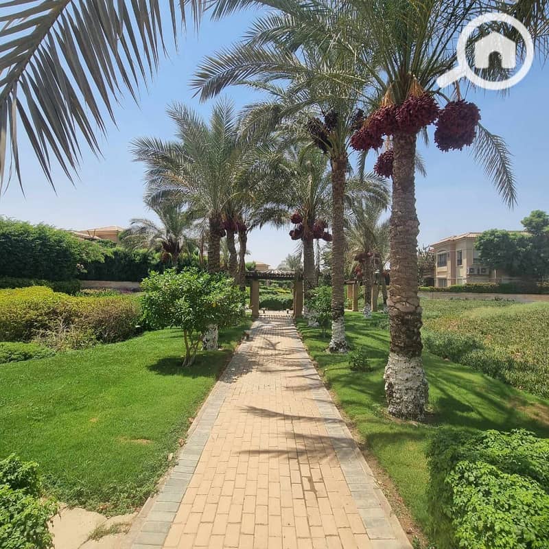 10 ebb4c428-716a-48d0-9e0c-564d47916a56. jpg