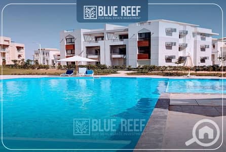 شاليه 2 غرفة نوم للبيع في الساحل الشمالي، مطروح - 123570. jpg