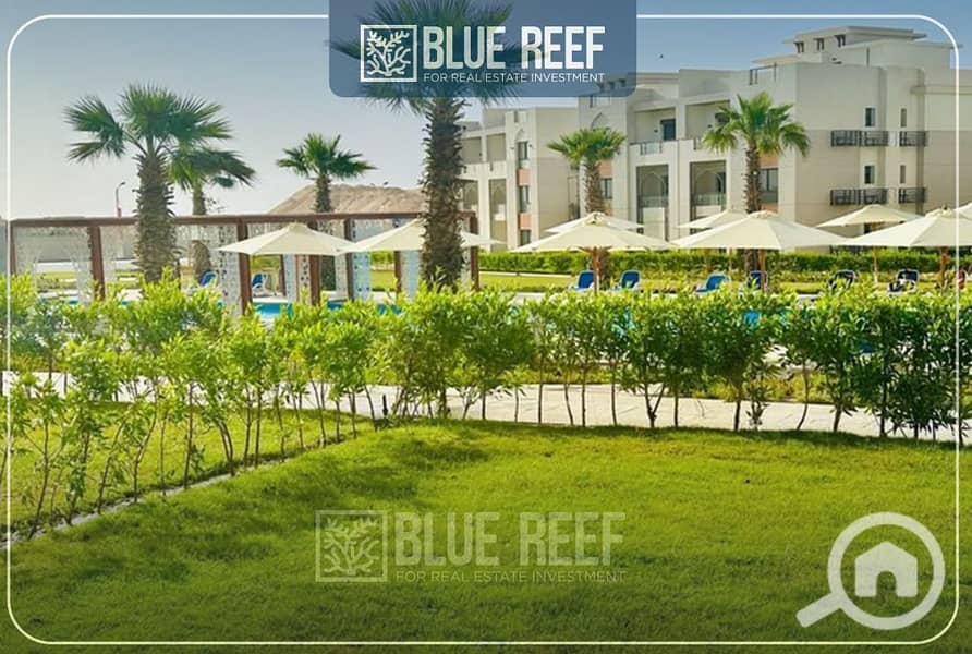 4 12345فغاى. jpg