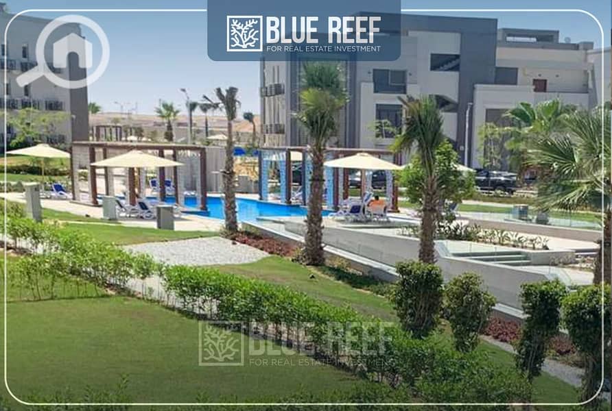 6 بفغعهخحج. jpg