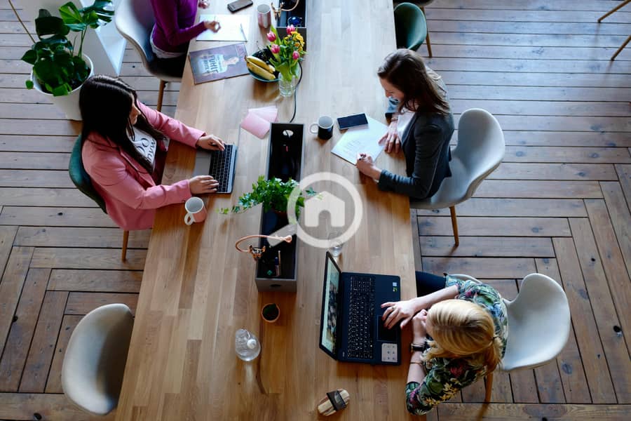 9 pexels-cowomen-1058097-2041627. jpg