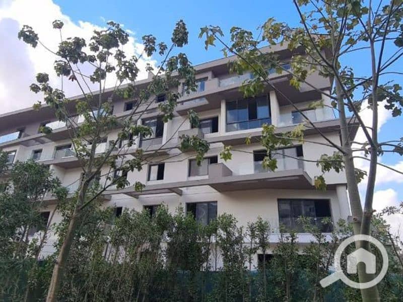 11 Untitled design (91). png