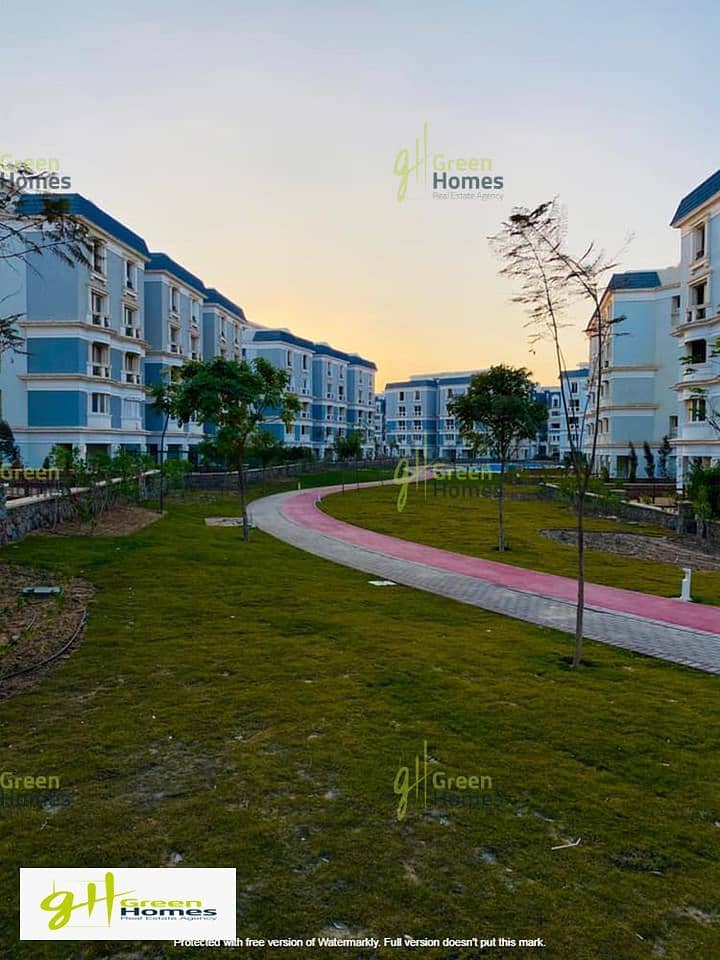 12 148077642_113157154095024_2910335445028592689_n - Copy. jpg