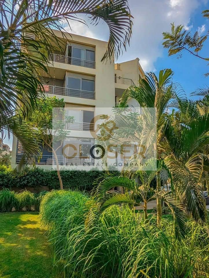 481756519_1177691847340246_3078425732608509481_n. jpg 481756519_1177691847340246_3078425732608509481_n. jpg