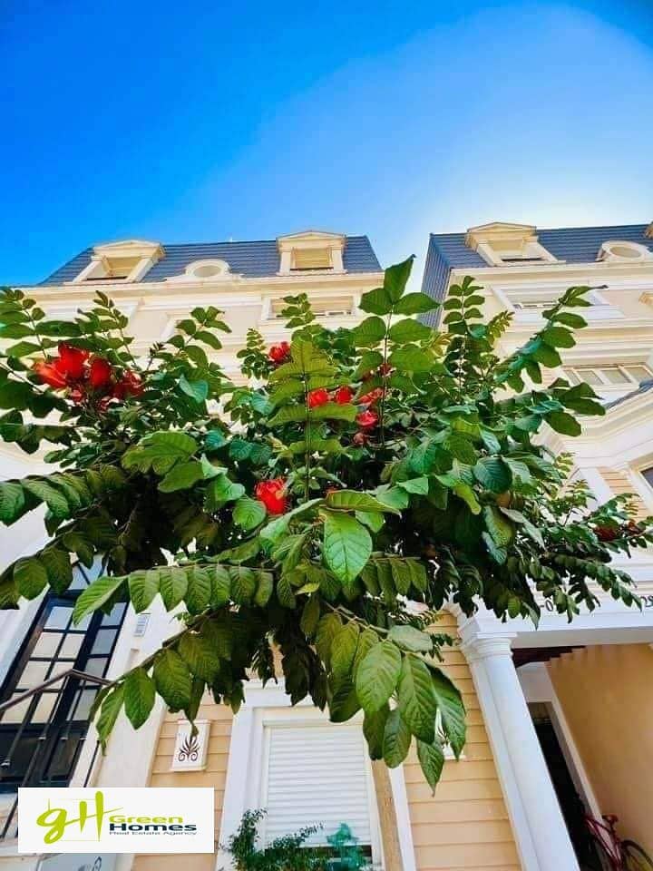 11 460839943_2293452640989422_783913253261625765_n. jpg