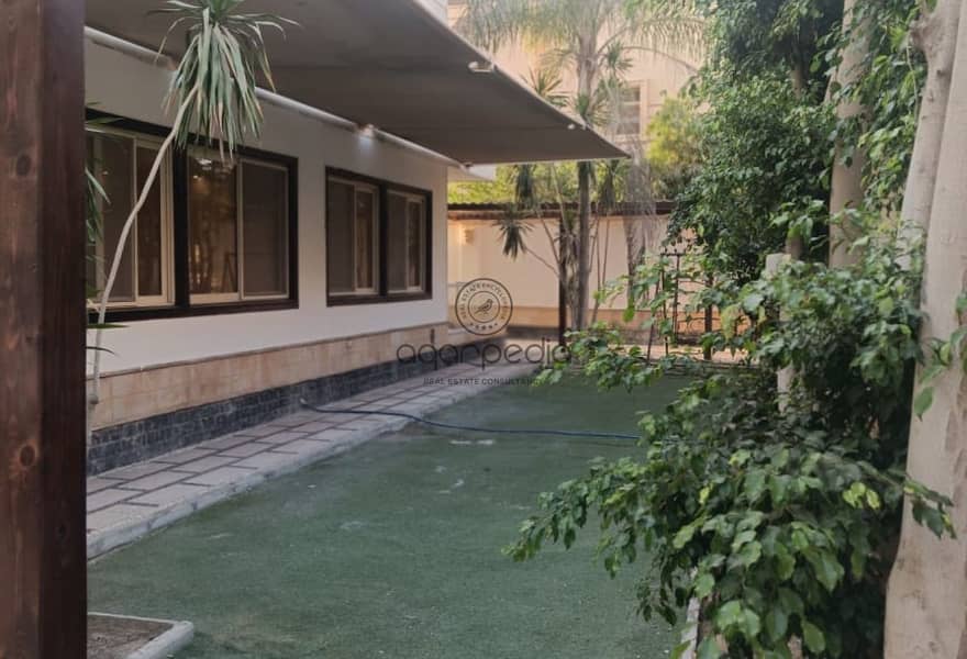 11 7704e6b1-8715-4022-958a-65c8a0f347c3. jpg