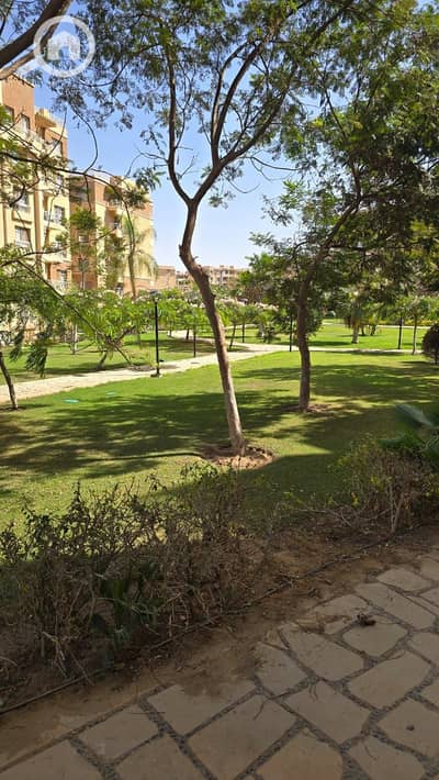 فلیٹ 3 غرف نوم للايجار في مدينتي، القاهرة - c05605ae-a6c1-4170-ba0f-cd4437a73c5b. jpg