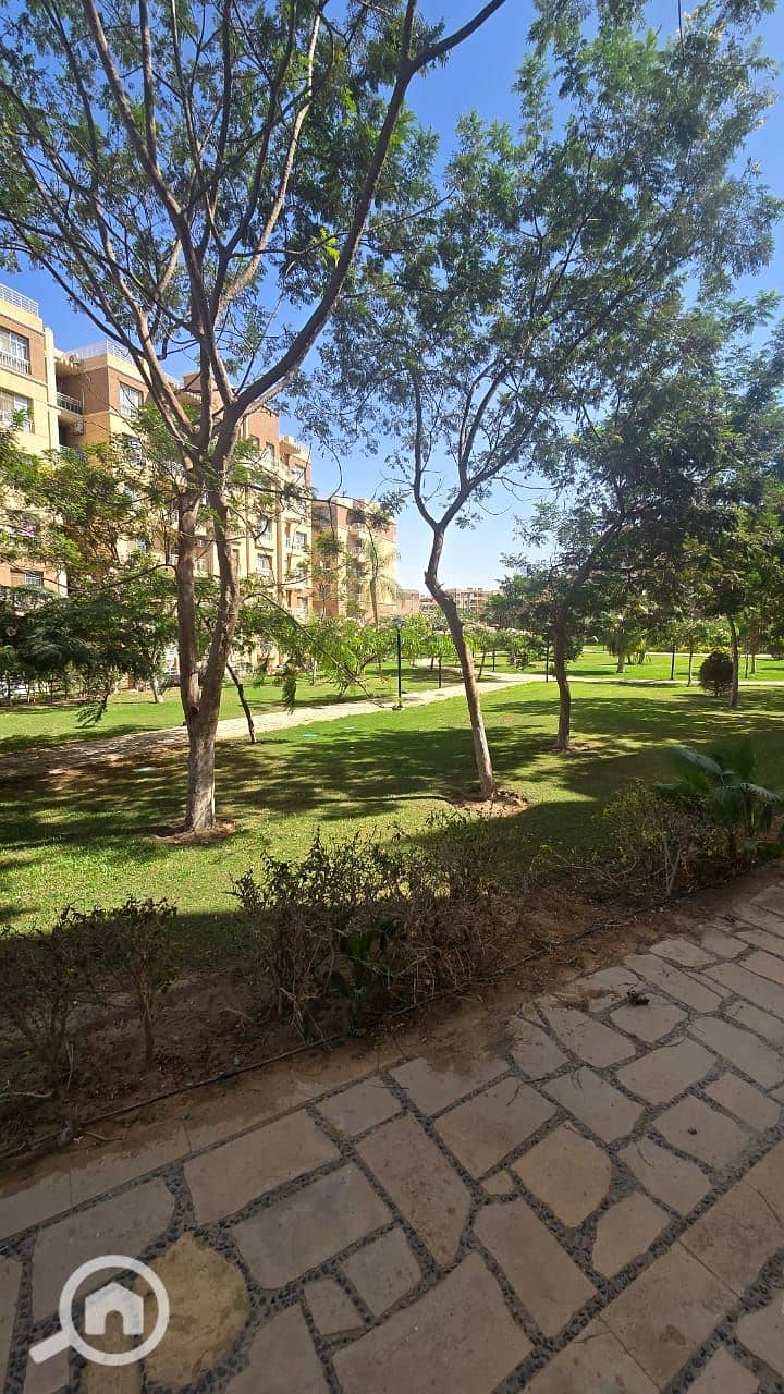 2 ca02becc-c4ae-4296-ad91-efed33e7b923. jpg