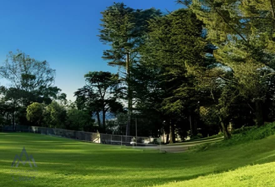 2 0ade4ef4-a7df-4a2d-90c6-59b634716e6f. jpg