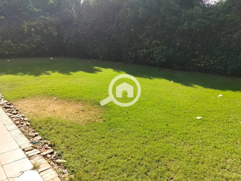 16 f83afaff-025e-4f17-926c-5f0beffed3c2. jpg