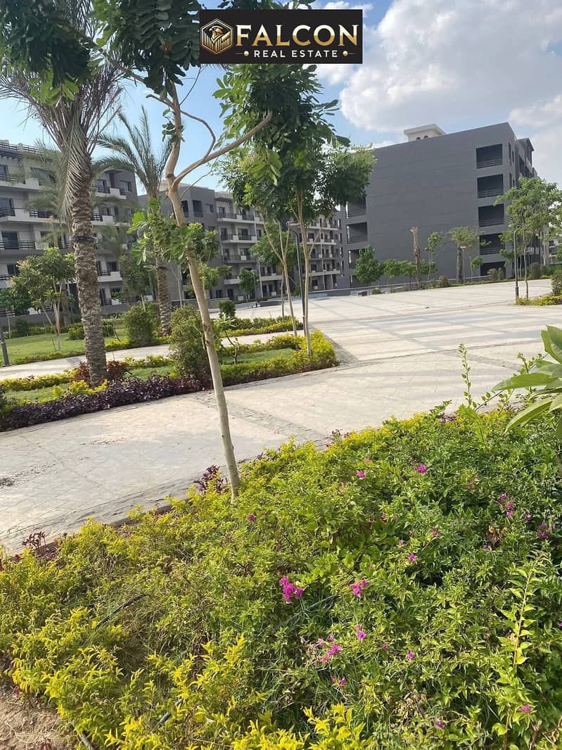 9 540620928_1477805496746784_900939448536902893_n. jpg