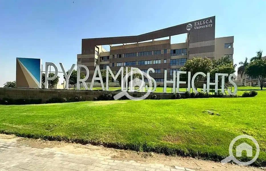 12 32204010-800x600. JPG