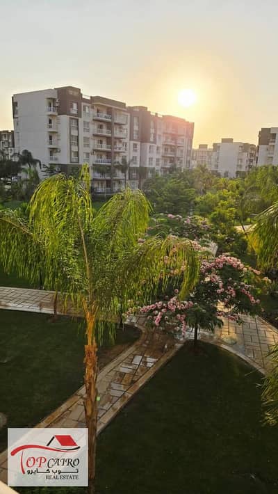 2 Bedroom Apartment for Rent in Madinaty, Cairo - WhatsApp Image 2025-11-20 at 11.50. 06 AM. jpeg