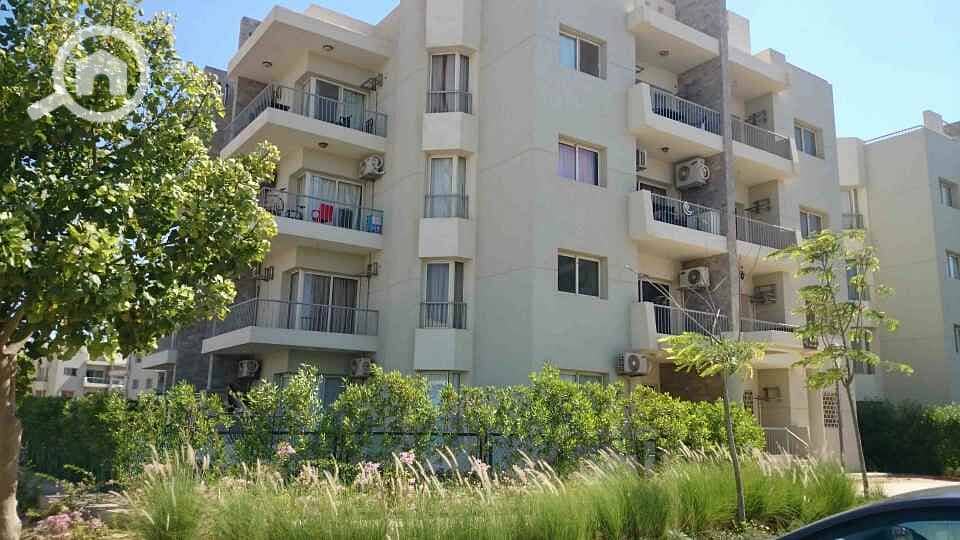 4 WhatsApp Image 2025-10-07 at 4.45. 49 PM (3). jpeg