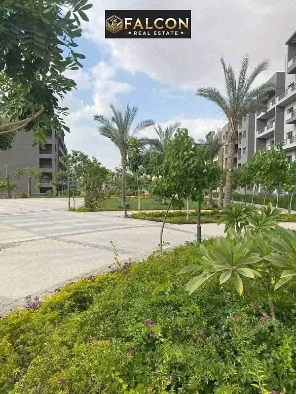 9 536442634_122140190618851552_2156678874084800136_n. jpg