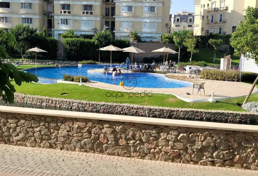 2 4ac383a0-553a-4e87-bee4-86122eb68ae5. jpg