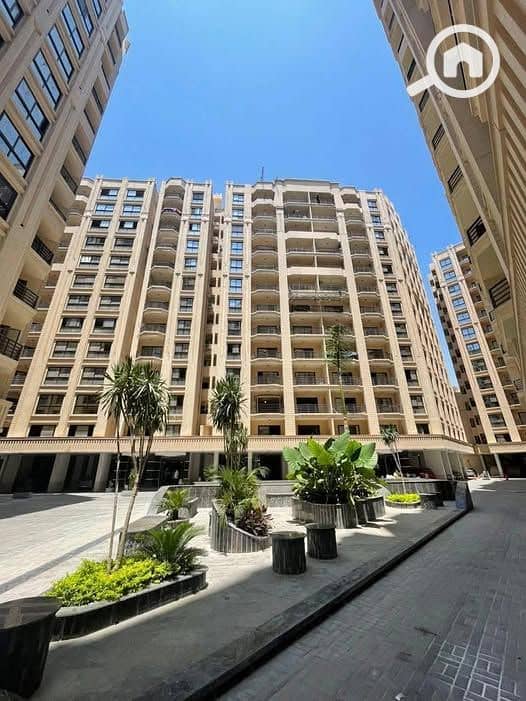 583307414_122110471905057935_751834563786450929_n. jpg