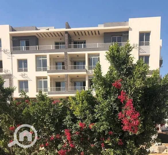 8 584663128_122292045704012060_3372661074809683503_n. jpg