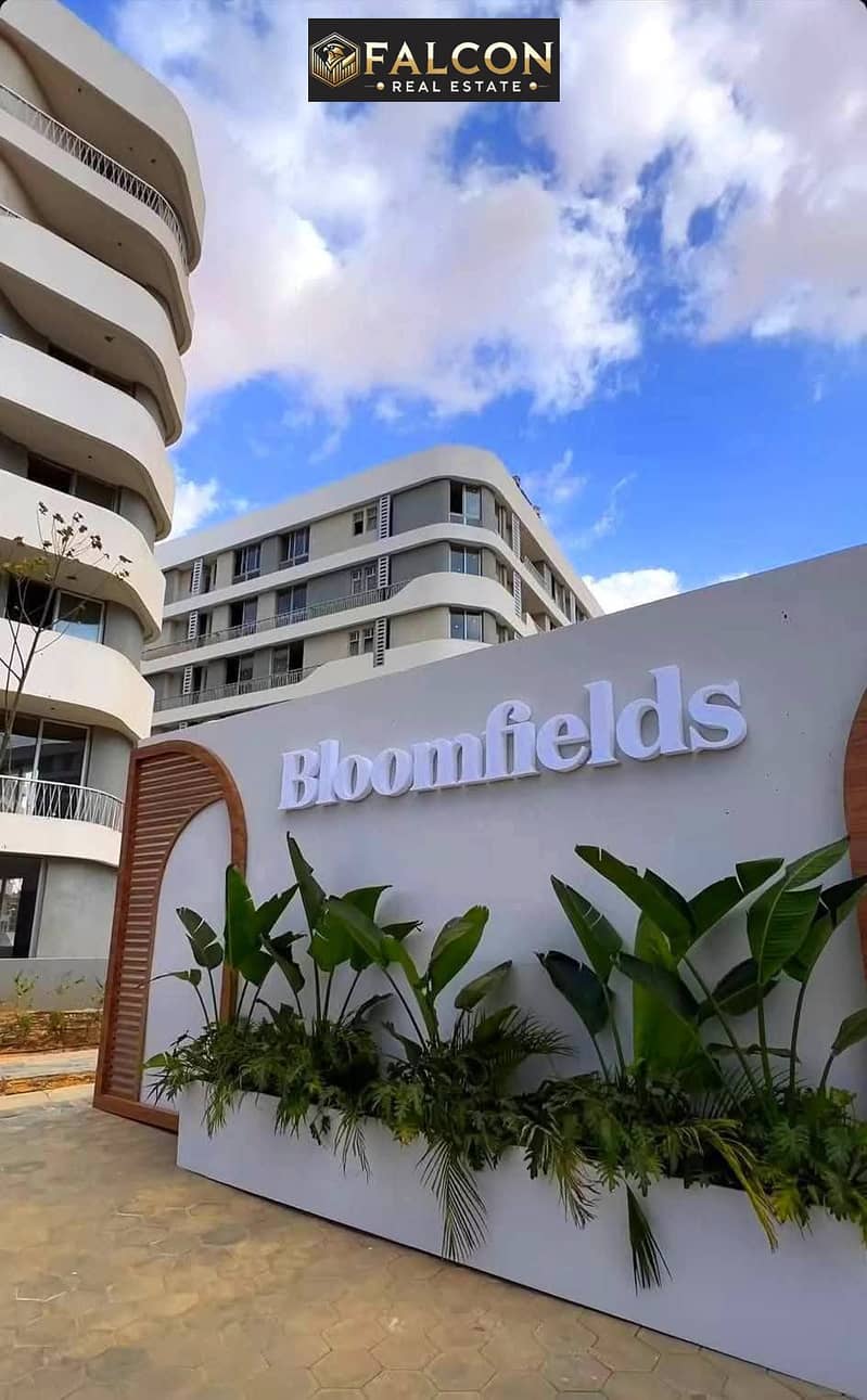 2 516951321_122174330336454983_2283111174479807016_n. jpg