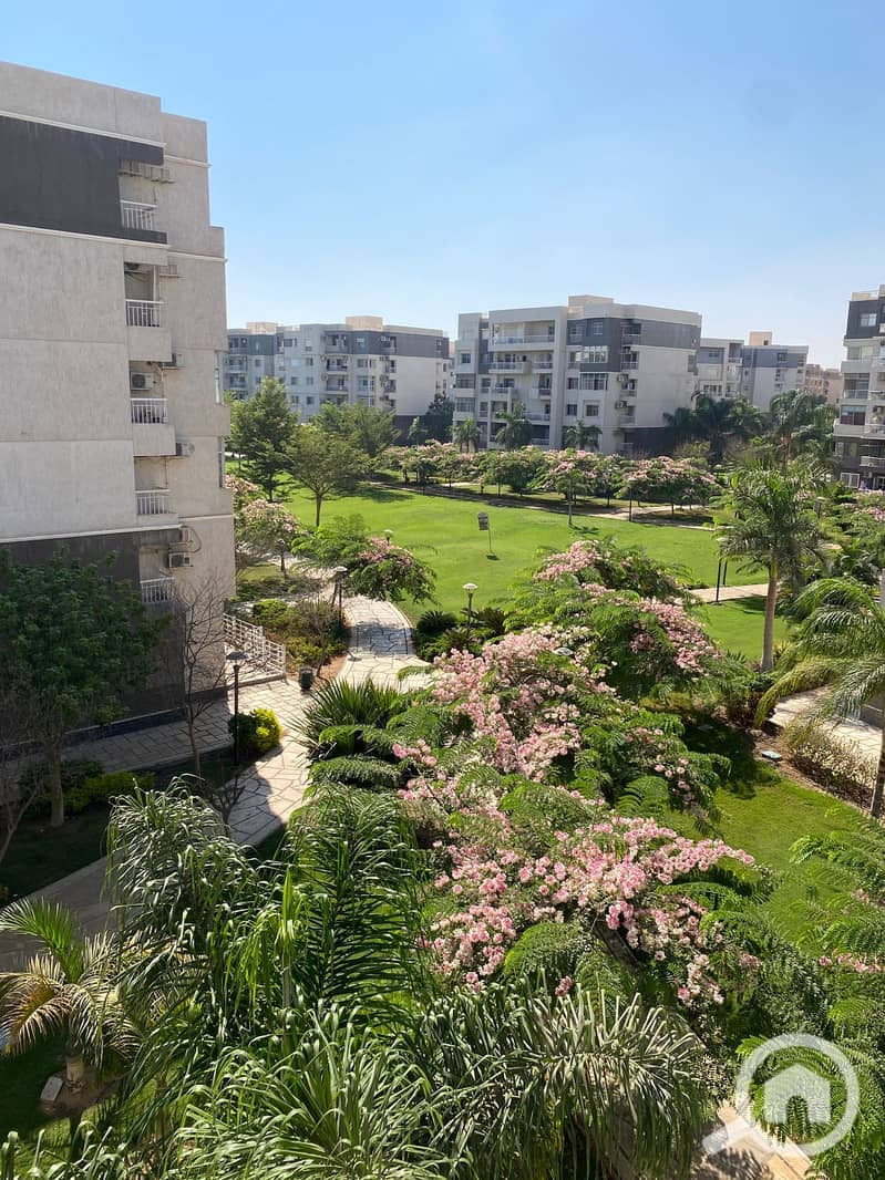 4 cc4a00bc-0ba5-4e20-838f-8d96d8ec8585. jpg