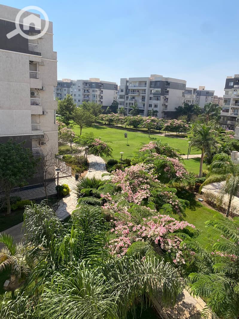 7 fde75558-d828-42ce-a915-c7e4fe618382. jpg