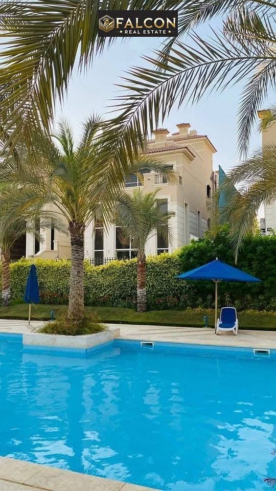 558461150_787600077642371_801530759098340892_n. jpg