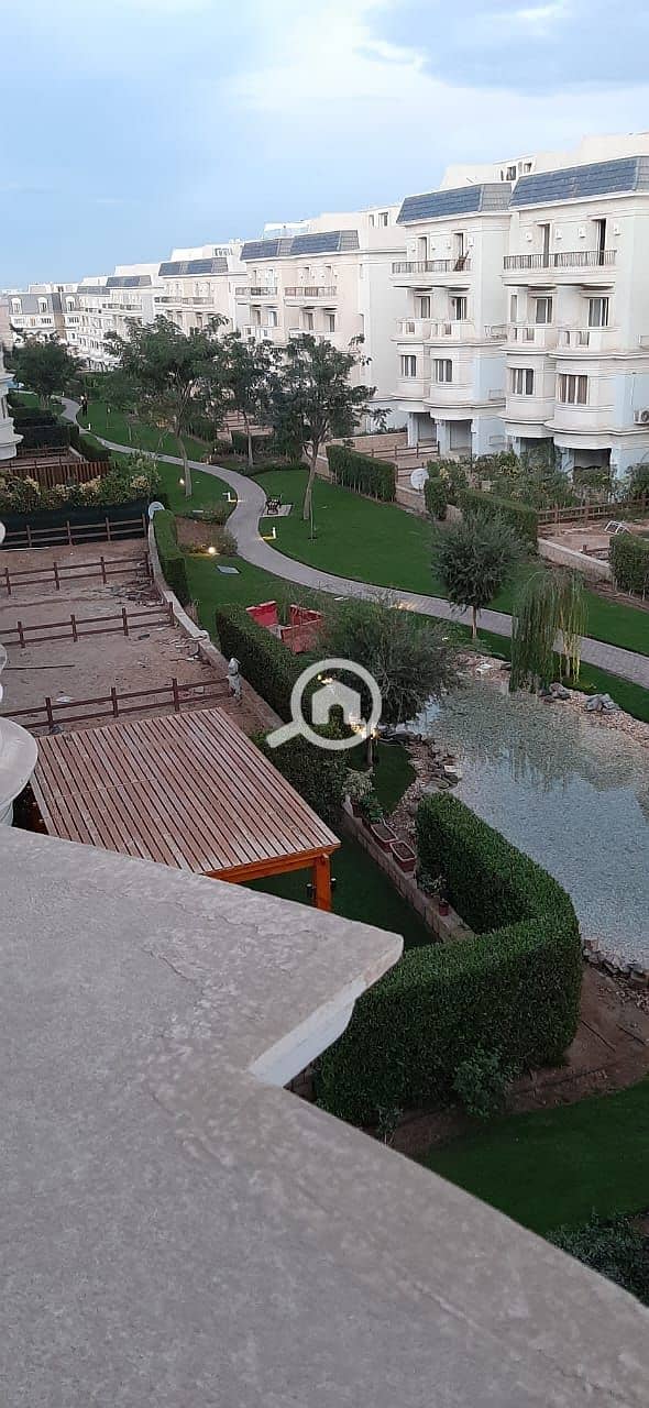 4 WhatsApp Image 2025-11-17 at 4.15. 42 PM. jpeg