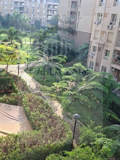 3 Bedroom Flat for Rent in New Cairo, Cairo - 1001057843. jpg