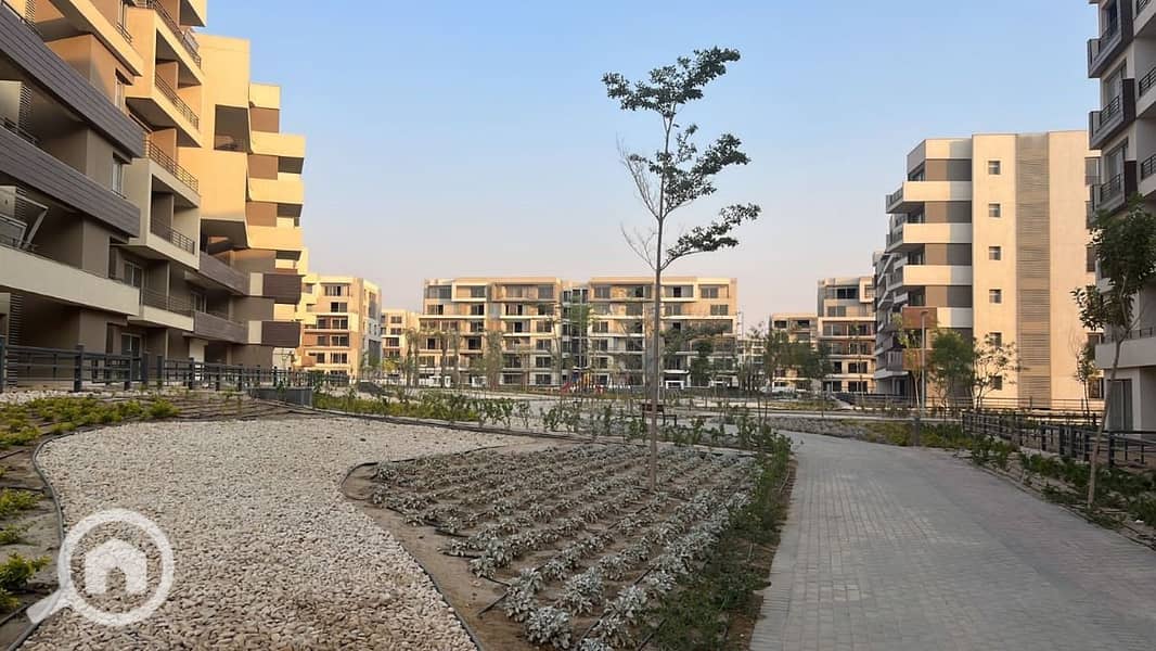 6 23f19329-c996-4dc9-81e5-0910bb1950c7. jpg