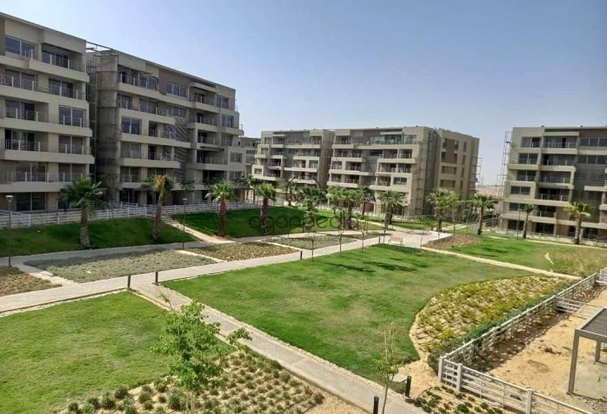 3 28cbb28b-d07f-41f9-9be6-4e39c03a2661. jpg