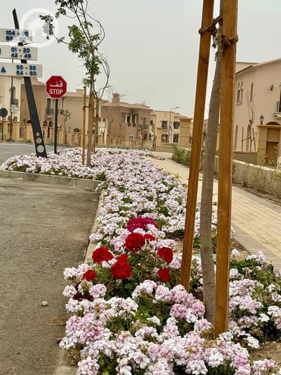 4 Bedroom Twin House for Sale in New Cairo, Cairo - WhatsApp Image 2025-08-24 at 13.24. 38_32e8bc35. jpg 4 Bedroom Twin House for Sale in New Cairo, Cairo - WhatsApp Image 2025-08-24 at 13.24. 38_32e8bc35. jpg