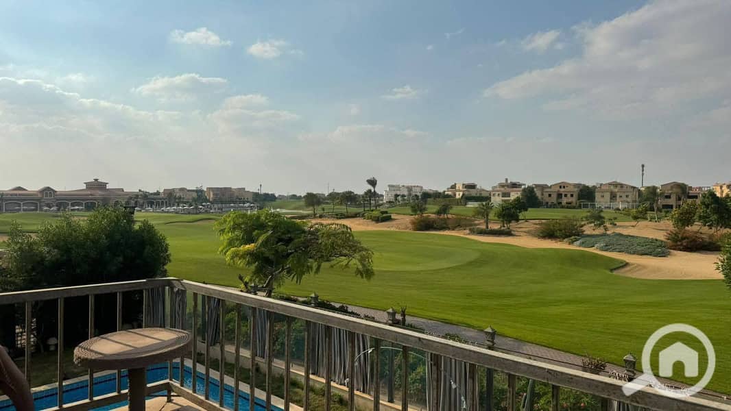 8 584647334_122158416452877090_1954731313660701526_n. jpg