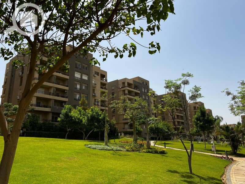 3 923fe00c-3df9-40f6-af28-235a673da06f. jpg