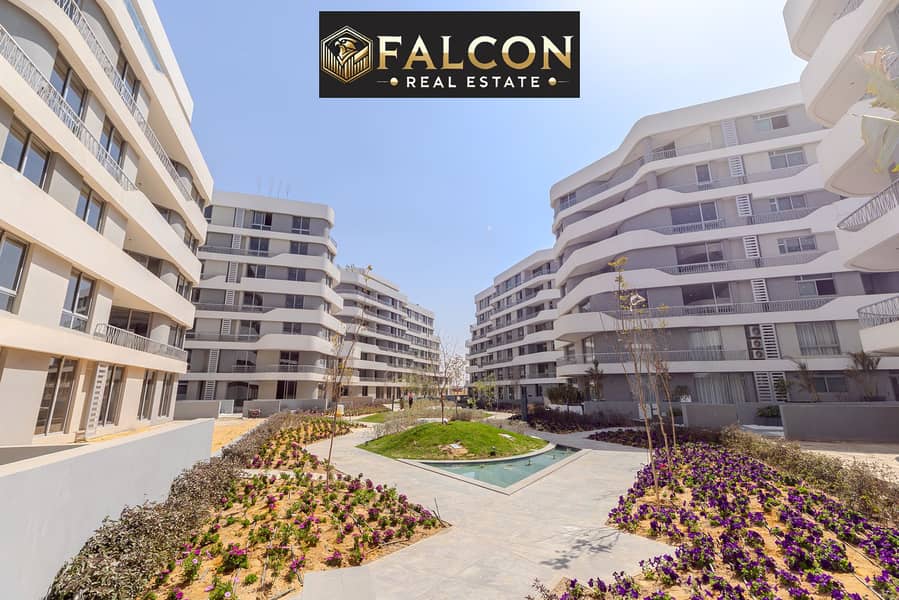 6 457748125_122111754548463410_6933591605164539646_n. jpg