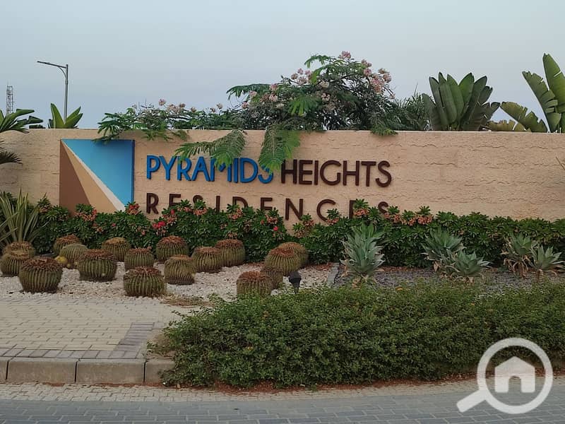 10 481644572_623624323747535_600977666209320642_n. jpg