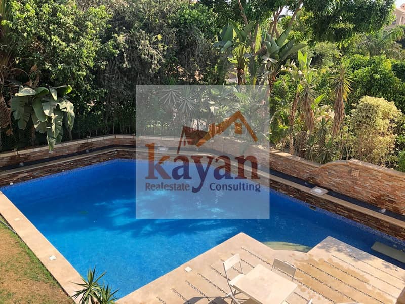 2 3b35b599-3875-47cb-8989-9ef3e79fe1a0. jpg