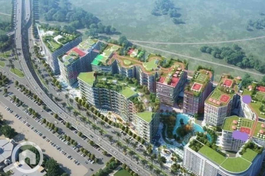 3 457193118_936641965164373_7697053552713594473_n. jpg