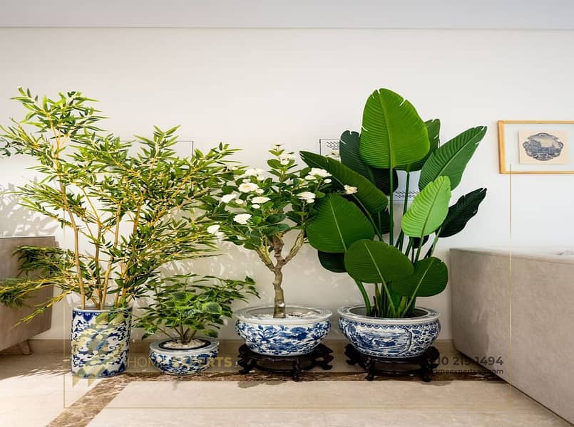 3 WhatsApp Image 2025-11-19 at 6.36. 20 PM (4). jpeg