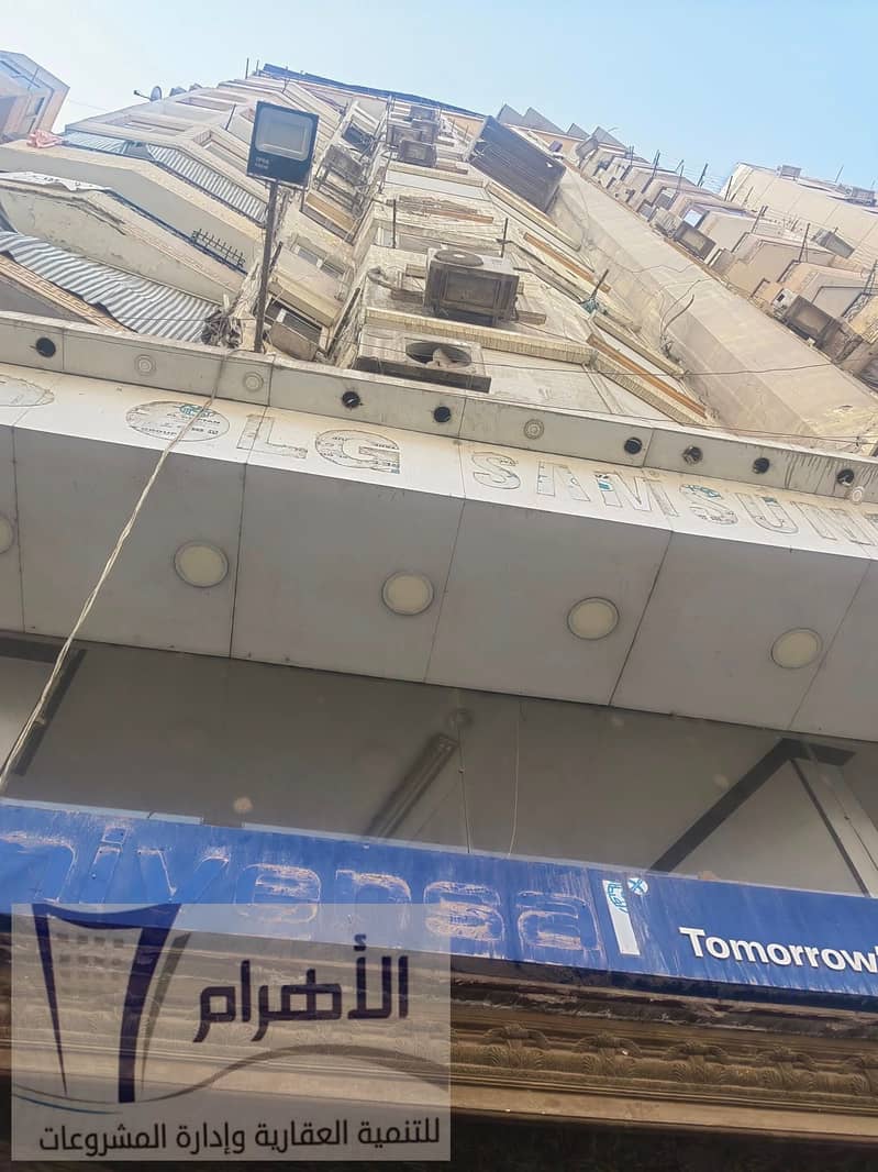 8 495359482_2440106539689891_1203026006144108472_n. jpg