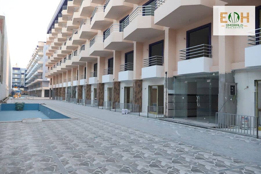 IMG_1626 - Copy - Copy. jpg IMG_1626 - Copy - Copy. jpg