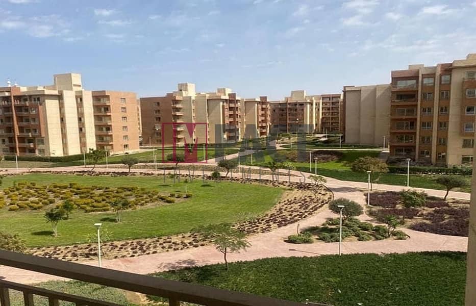 6 WhatsApp Image 2025-11-17 at 4.45. 37 PM. jpeg