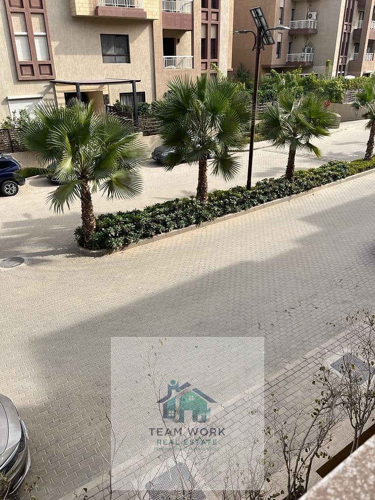 2 4b01bff3-74be-4121-8c11-28dc7d10341c. jpg