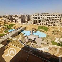 8 568686776_669310285939710_3010779043405881006_n. jpg