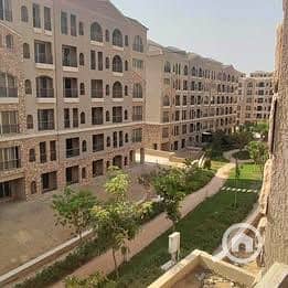 8 573055903_1901434343775223_3280208086495746917_n. jpg