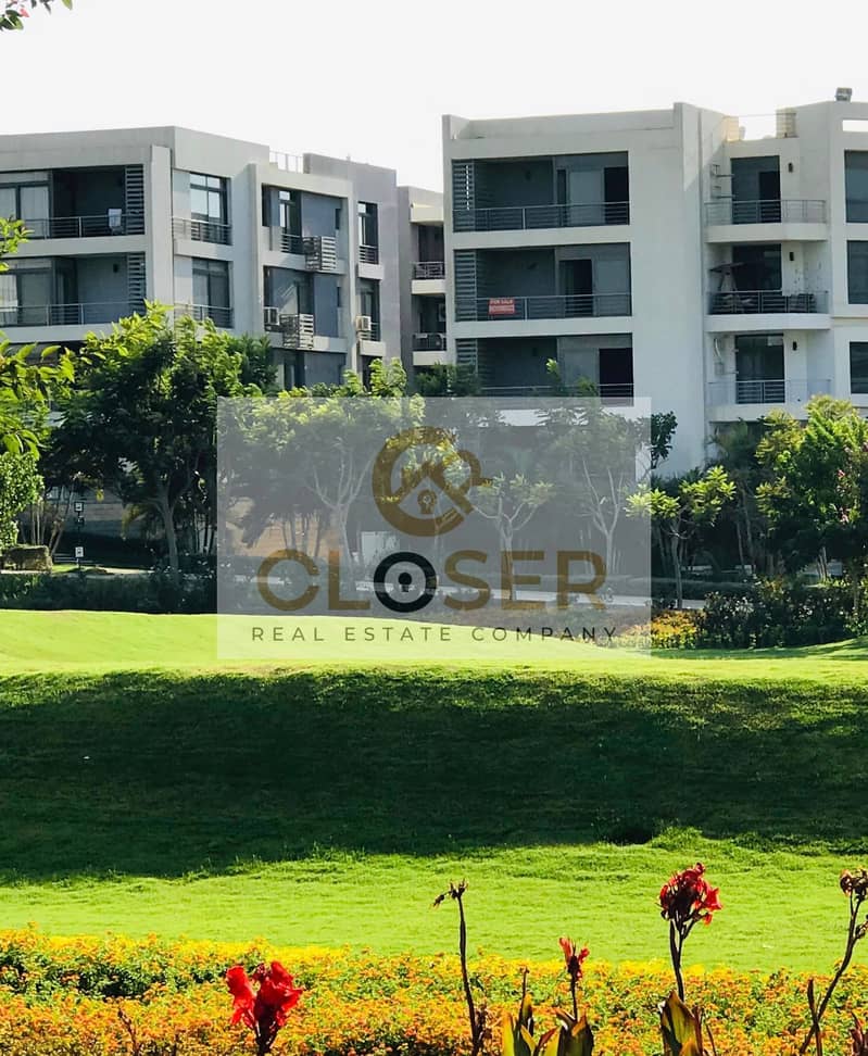 9 365311871_10159341421716455_3741262380313599222_n. jpg