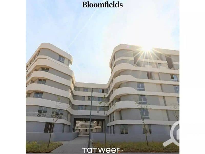 7 4780803-1cf74o. jpg