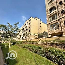 6 584304527_1329263018674261_8260512578098452554_n. jpg