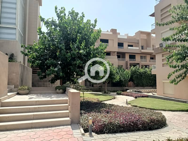 5 IMG20250729144413. jpg