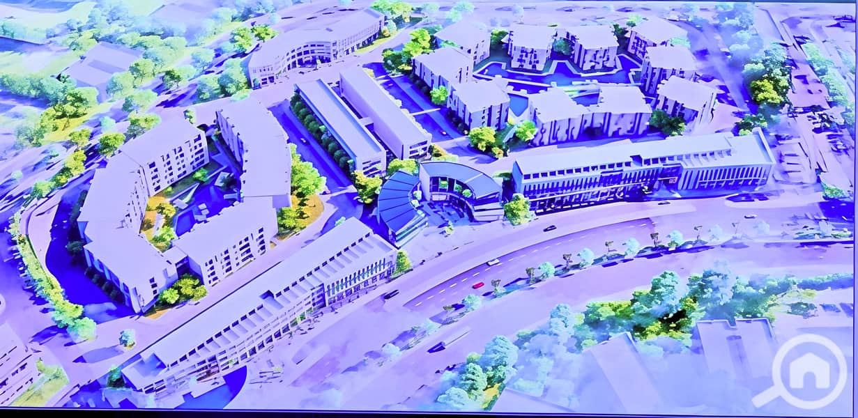 5 IMG_20251120_143834. jpg