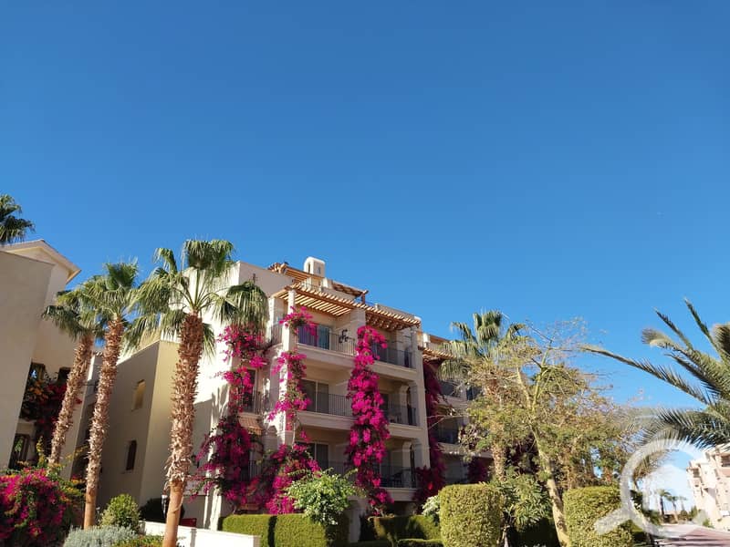 6 20240130_143537. jpg